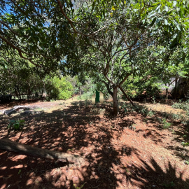 Design sem nome - 2025-11-12T155727.442