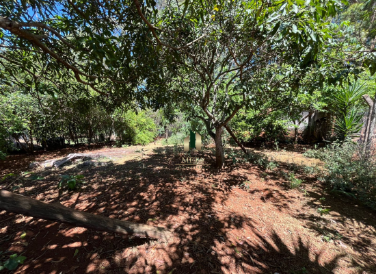 Design sem nome - 2025-11-12T155727.442