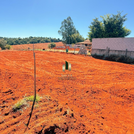 Design sem nome - 2026-03-16T132715.657