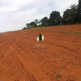 Design sem nome - 2026-04-17T145755.196