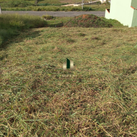 Design sem nome - 2026-04-20T141935.994