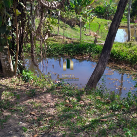 Design sem nome - 2026-04-20T163030.570