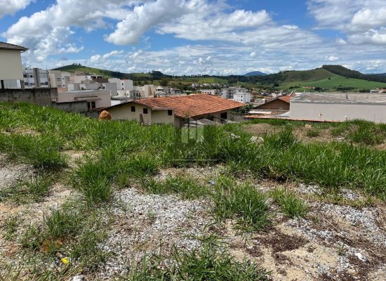 WhatsApp Image 2024-02-21 at 17.06.23 (1)