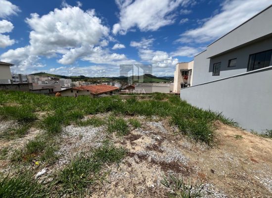 WhatsApp Image 2024-02-21 at 17.06.24