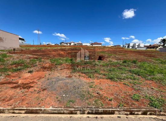 WhatsApp Image 2024-03-12 at 08.54.29