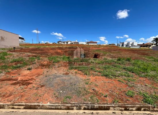 WhatsApp Image 2024-03-12 at 08.54.30