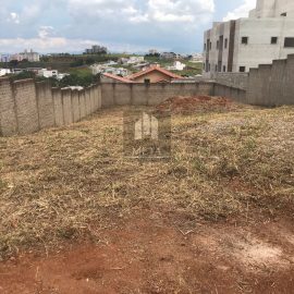 WhatsApp Image 2024-03-19 at 17.01.57