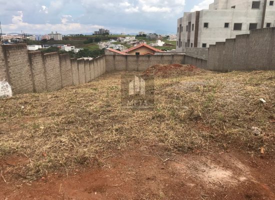 WhatsApp Image 2024-03-19 at 17.01.57