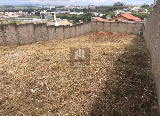 WhatsApp Image 2024-03-19 at 17.01.58