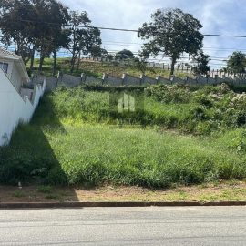 WhatsApp Image 2024-04-23 at 16.08.28 (2) - Copia