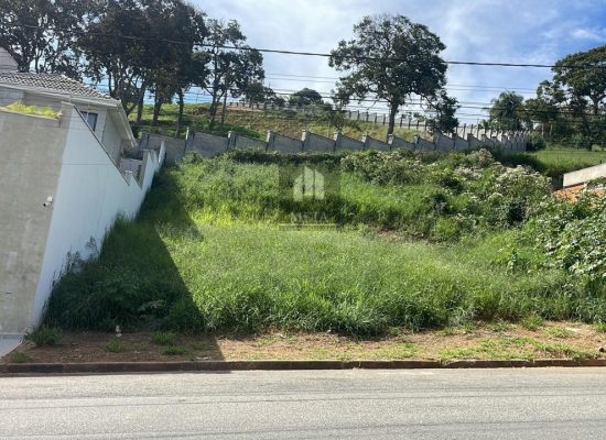 WhatsApp Image 2024-04-23 at 16.08.28 (2)