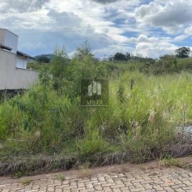 WhatsApp Image 2024-05-30 at 13.13.08 - Copia