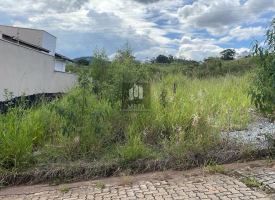 WhatsApp Image 2024-05-30 at 13.13.08