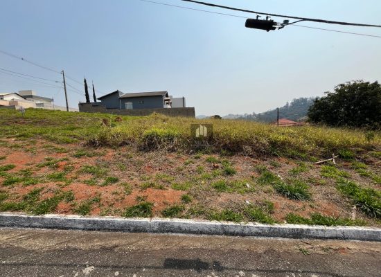 WhatsApp Image 2024-09-03 at 12.57.36