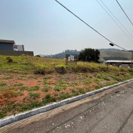 WhatsApp Image 2024-09-03 at 12.57.38