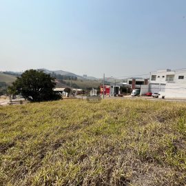 WhatsApp Image 2024-09-03 at 12.57.40