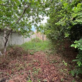 WhatsApp Image 2024-10-24 at 16.10.49