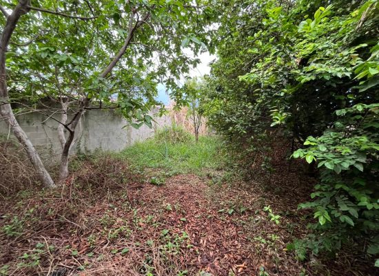 WhatsApp Image 2024-10-24 at 16.10.49