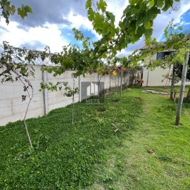 WhatsApp Image 2025-01-22 at 17.37.28