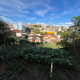 WhatsApp Image 2025-04-22 at 15.46.02