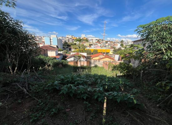 WhatsApp Image 2025-04-22 at 15.46.02