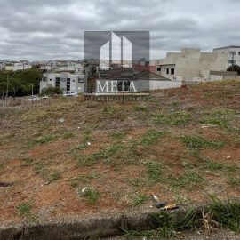 WhatsApp Image 2025-10-13 at 10.02.38