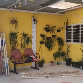 WhatsApp Image 2026-02-11 at 13.26.06 (1)