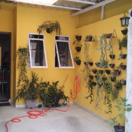 WhatsApp Image 2026-02-11 at 13.26.06 (2)