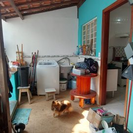 WhatsApp Image 2026-02-12 at 13.55.03 (3)