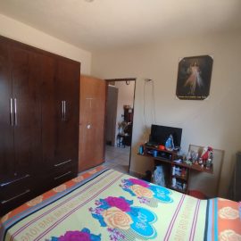 WhatsApp Image 2026-02-19 at 11.18.09 (2)