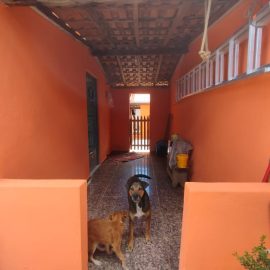 WhatsApp Image 2026-02-19 at 11.18.11 (2)