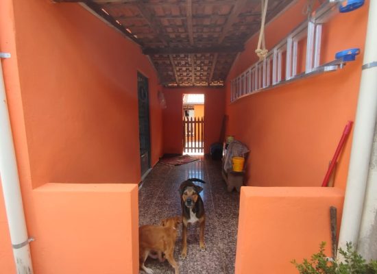 WhatsApp Image 2026-02-19 at 11.18.11 (2)