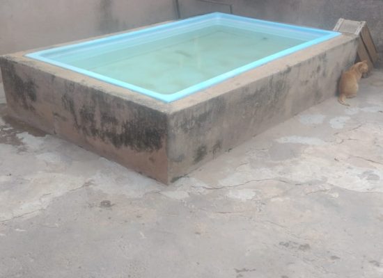 WhatsApp Image 2026-02-19 at 11.18.12