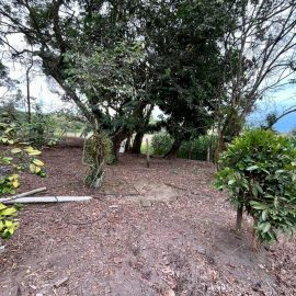 WhatsApp Image 2026-02-23 at 16.00.52 (1)