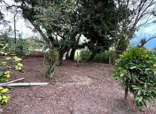 WhatsApp Image 2026-02-23 at 16.00.52 (1)