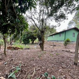 WhatsApp Image 2026-02-23 at 16.00.53