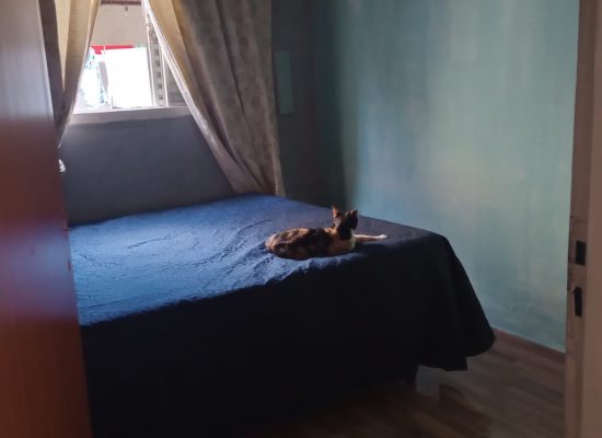 WhatsApp Image 2026-03-12 at 16.44.58 (3)