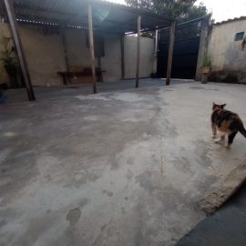 WhatsApp Image 2026-03-12 at 16.44.58