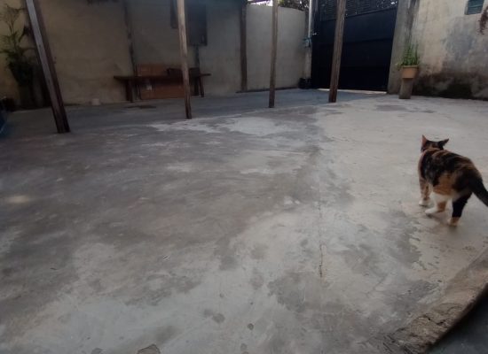 WhatsApp Image 2026-03-12 at 16.44.58